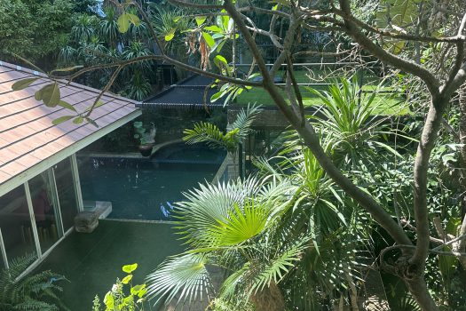 ด่วน ขายถูกมาก ! ที่ดินเปล่า ทำเลดีมาก บางนา-ตราด กม. 1 ขาเข้า พร้อมบ้าน 1 หลัง 495 ตร.วา 🌳