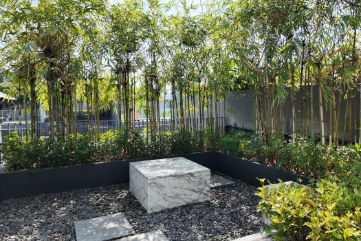 ขายราคาดีสุดในตึก คอนโดไซมีส จอยญ่า (Siamese Gioia) ซ.สุขุมวิท 31