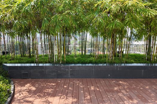 ขายราคาดีสุดในตึก คอนโดไซมีส จอยญ่า (Siamese Gioia) ซ.สุขุมวิท 31