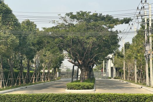 ขายราคาดีสุดในโครงการ ทาวน์โฮม 2 ชั้น โครงการ Pleno พระราม 9 กรุงเทพกรีฑา 2 บ้านสวย สภาพดี ทำเลเยี่ยม