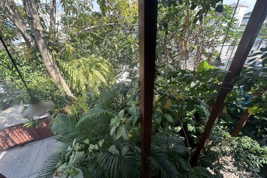 ขายบ้านใน หมู่บ้านเสรี พระราม 9 ทำเลดีมาก เข้าออกได้หลายทางทั้ง พระราม 9 และพัฒนาการ 4 ห้องนอน 74 ตร.วา บ้านสวย ร่มรื่นมากก🌳🏡 🔥 ขายราคาเพียง 23,000,000 บาท 🔥