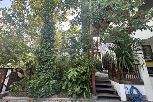 ขายบ้านใน หมู่บ้านเสรี พระราม 9 ทำเลดีมาก เข้าออกได้หลายทางทั้ง พระราม 9 และพัฒนาการ 4 ห้องนอน 74 ตร.วา บ้านสวย ร่มรื่นมากก🌳🏡 🔥 ขายราคาเพียง 23,000,000 บาท 🔥