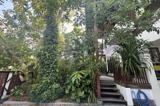 ขายบ้านใน หมู่บ้านเสรี พระราม 9 ทำเลดีมาก เข้าออกได้หลายทางทั้ง พระราม 9 และพัฒนาการ 4 ห้องนอน 74 ตร.วา บ้านสวย ร่มรื่นมากก🌳🏡 🔥 ขายราคาเพียง 23,000,000 บาท 🔥