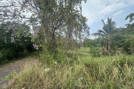 ขายที่ดิน นครนายก 1 ไร่ 2 งาน 20.6 ตร.วา อ.เมืองนครนายก ติดถนนสุพรรณิการ์ 2011 ทำเลดี เดินทางสะดวก