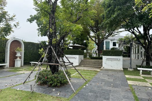 ขายบ้านหรู โครงการ 𝗧𝗵𝗲 𝗣𝗮𝘃𝗶𝗹𝗹𝗮 𝗣𝗿𝗶𝘃𝗮𝘁𝗲 𝗥𝗲𝘀𝗶𝗱𝗲𝗻𝗰𝗲𝘀 บางบอน 3 บ้านเดี่ยวสุด Private วิวสวน หลังใหญ่ 𝟭𝟮𝟱.𝟵 ตร.วา ทั้งโครงการมีเพียง 29 unit