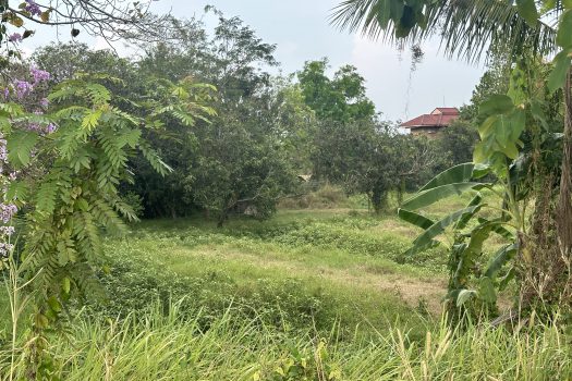 ขายที่ดิน นครนายก 1 ไร่ 2 งาน 20.6 ตร.วา อ.เมืองนครนายก ติดถนนสุพรรณิการ์ 2011 ทำเลดี เดินทางสะดวก