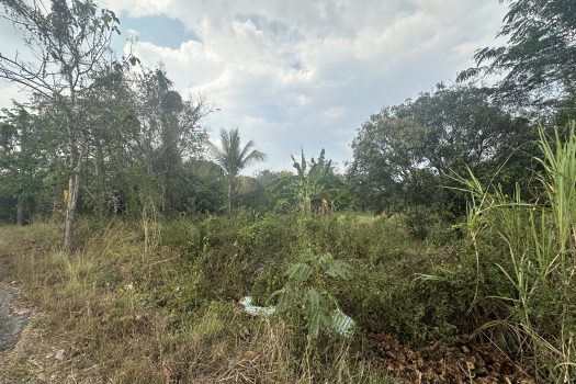 ขายที่ดิน นครนายก 1 ไร่ 2 งาน 20.6 ตร.วา อ.เมืองนครนายก ติดถนนสุพรรณิการ์ 2011 ทำเลดี เดินทางสะดวก