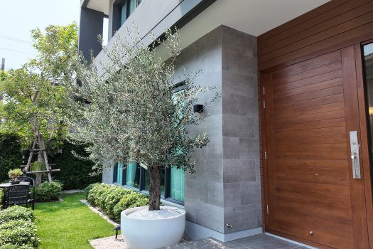 บ้าน The City บางนา บ้านใหม่มาก แต่งสวย ฮวงจุ้ยเต็ม 10 โครงการทำเลดี หลัง Mega Bangna