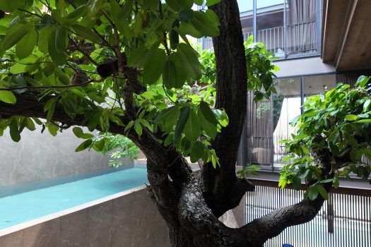 บ้านเดี่ยว สไตล์ 𝗨𝗻𝗶𝗾𝘂𝗲 𝗠𝗼𝗱𝗲𝗿𝗻 𝟯 ชั้น ซอยนาคนิวาส 𝟯𝟳 แยก 𝟮-𝟵 บ้านใหม่ แต่งสวยมาก พร้อมสระว่ายน้ำในตัวและลิฟท์