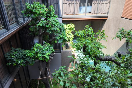 บ้านเดี่ยว สไตล์ 𝗨𝗻𝗶𝗾𝘂𝗲 𝗠𝗼𝗱𝗲𝗿𝗻 𝟯 ชั้น ซอยนาคนิวาส 𝟯𝟳 แยก 𝟮-𝟵 บ้านใหม่ แต่งสวยมาก พร้อมสระว่ายน้ำในตัวและลิฟท์