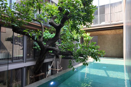 บ้านเดี่ยว สไตล์ 𝗨𝗻𝗶𝗾𝘂𝗲 𝗠𝗼𝗱𝗲𝗿𝗻 𝟯 ชั้น ซอยนาคนิวาส 𝟯𝟳 แยก 𝟮-𝟵 บ้านใหม่ แต่งสวยมาก พร้อมสระว่ายน้ำในตัวและลิฟท์