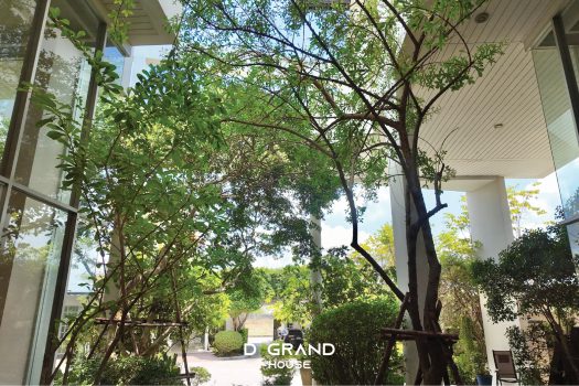 บ้านหรูในสนามกอล์ฟ วิวทะเลสาบ ทำเลดี ฮวงจุ้ยรับทรัพย์ พื้นที่ใช้สอยจัดเต็ม 1,000 ตร.ม.