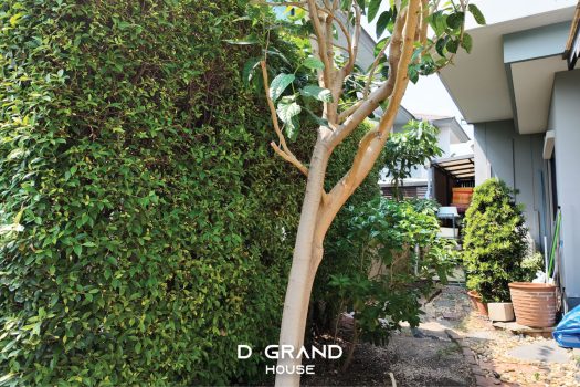 ขายบ้านเดี่ยวมือสอง โครงการเศรษฐสิริ แจ้งวัฒนะ-ประชาชื่น ติดทางด่วนศรีสมาน เดินทางสะดวกมาก