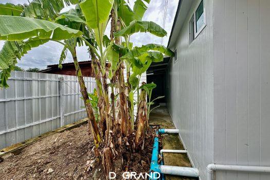 ขายที่ดินนนทบุรี ซอย เรวดี 𝟰𝟮 ขนาด 𝟭𝟵𝟵.𝟵 ตร.วา ถมแล้ว สร้างสิ่งปลูกสร้างได้ทันที