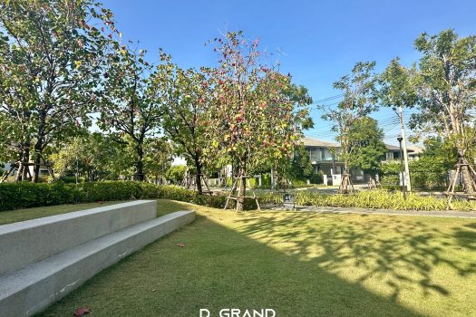 𝗕𝘂𝗿𝗮𝘀𝗶𝗿𝗶 𝗪𝗮𝘁𝗰𝗵𝗮𝗿𝗮𝗽𝗼𝗹 บ้านซีรีส์ใหม่ หลังมุม