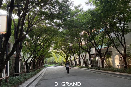 “𝗣𝗮𝗿𝗸 𝗛𝗲𝗿𝗶𝘁𝗮𝗴𝗲 𝗣𝗮𝘁𝘁𝗮𝗻𝗮𝗸𝗮𝗻” ตอบโจทย์ได้อย่างตรงใจ! บ้าน 𝟯 ชั้น สไตล์ 𝗟𝘂𝘅𝘂𝗿𝘆