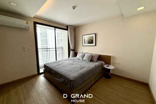 URGENT SALE/RENT : 𝗗𝗮𝘇𝘇𝗹𝗲 𝗖𝗼𝗻𝗱𝗼 : A Low Rise Condo in Sukhumvit Soi 7