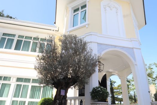 ห้ามพลาด โอกาสสุดพิเศษที่คุณจะได้เป็นเจ้าของบ้านสุดหรู โครงการ “𝐓𝐡𝐞 𝐑𝐨𝐲𝐚𝐥 𝐑𝐞𝐬𝐢𝐝𝐞𝐧𝐜𝐞” เกษตร นวมินทร์