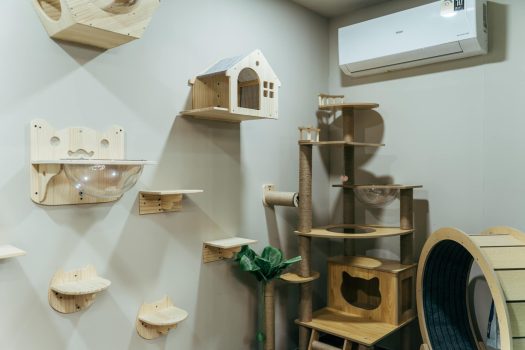 บ้านหรูสุดคุ้ม! แปลงมุมแต่งครบ พร้อมอยู่ Bangkok Boulevard รามอินทรา–วัชรพล