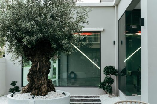 บ้านหรูสุดคุ้ม! แปลงมุมแต่งครบ พร้อมอยู่ Bangkok Boulevard รามอินทรา–วัชรพล