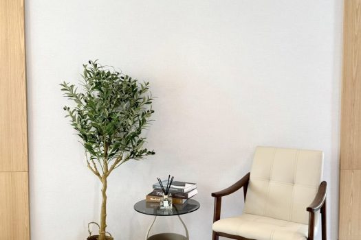 บ้านเดี่ยวหรู The City Bangna 2 – โครงการใหม่ล่าสุด ใกล้ Mega Bangna & IKEA