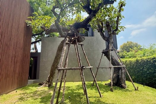 บ้านหรู ดีไซน์ไม่ซ้ำใคร ใจกลาง “นาคนิวาส 20” บนพื้นที่ใช้สอยกว่า 1,500 ตร.ม. พร้อม ลิฟต์ส่วนตัว