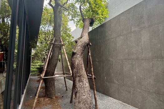 บ้านหรู ดีไซน์ไม่ซ้ำใคร ใจกลาง “นาคนิวาส 20” บนพื้นที่ใช้สอยกว่า 1,500 ตร.ม. พร้อม ลิฟต์ส่วนตัว