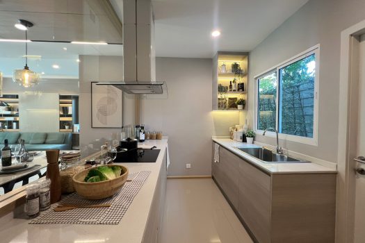 ด่วน ขายบ้านตัวอย่าง Nirvana Absolute Bangna